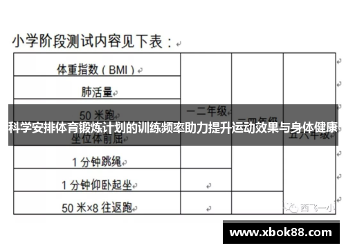 科学安排体育锻炼计划的训练频率助力提升运动效果与身体健康